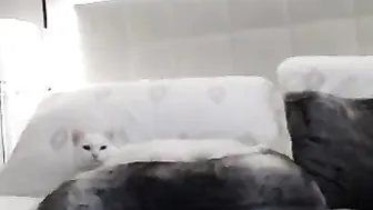 desertrose92  An excited prostitute fucks herself