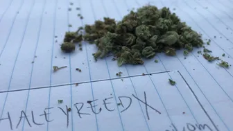 Haley Reed onlyfans 13 07 2017 2424674