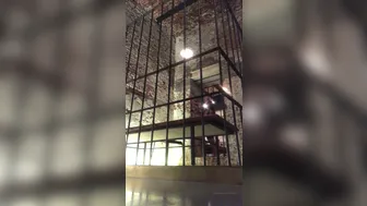 Dominatrix Athena onlyfans 101