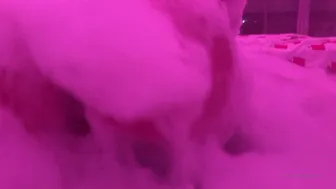 Brandiloveee onlyfans 20 03 04 14821506 Sucking in jacuzzititsjobcum in mouth and a lot of foam 1920x1080