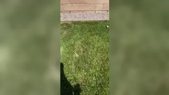 Adriana Chechik onlyfans 20 06 09 dm Megan sprayed me and cooled me down Do you need a little cool down 432x848