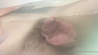 (2020.11.07) Liberty Harkness (Horiz.)