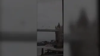 mayakayagaia aka dollylolita _mayakayagaia - B8j8R4oh1x9