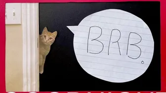 internet_famous 6.05.2021 032_female chaturbate