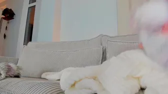 x lily x cbf 202012010159 7