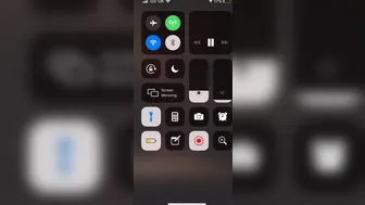 chelsea ferguson_2019.05.09 20.38.31