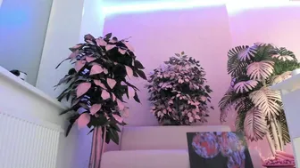 dora_dds 2.11.2021 912_female chaturbate 6