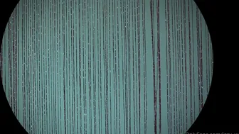 Blanc Noir, blancnoir, miss noir xx, izzy xx pushes the whole toy