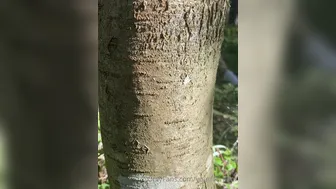 Anna aka arilaviee onlyfans Blonde slut twirls elastic booty