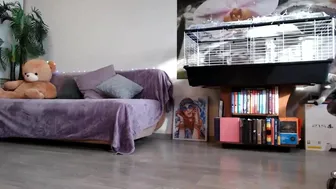 jennycutey chaturbate Sexy babe shows big tits