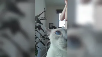 pantieprincess23  onlyfans  scrawny babe plays with a giant toy