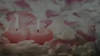 dani daniels  onlyfans pushes the whole toy