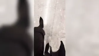 Cam4-Hot_BlondieX - Masturbate In Public & Squirt