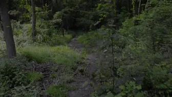 ManyVids kwgirlx - Fucking In A Public Forest