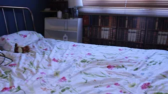 Miss Zelda aka pantieprincess23 onlyfans 13/01/2022 Newest from chaturbate show