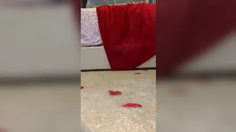 ChynaHall onlyfans 20/01/2022 Newest from chaturbate show