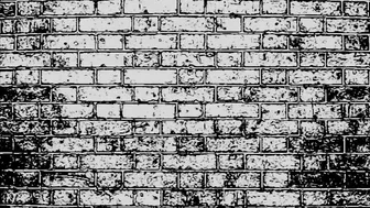 Kimber Haven and Raven Roxx show 2