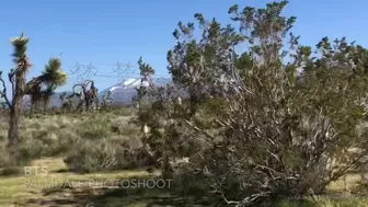 Capri Cavanni aka capricavanni onlyfans newest video 6