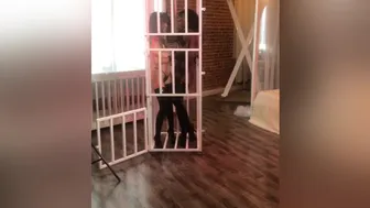 Riley Reid aka rileyreidx3 onlyfans newest video 7