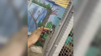 bwctravelvids onlyfans 8-02-2022 performance