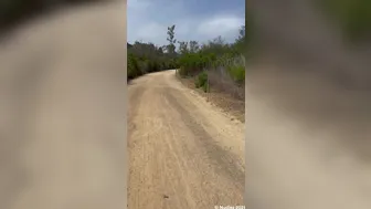 LaynaBoo aka Layna Boo aka laynaaboo onlyfans 25 january 2022 webcam masturbation