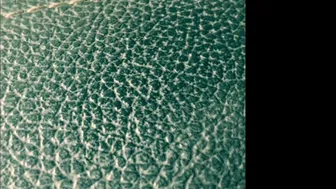 dillionharper onlyfans 12-03-2022 performance Latest broadcasting