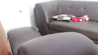 animals_club  fuck show 2017 22 of October