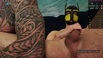 muscle_dog 14/05/2021 0417_couple_chaturbate Rec.