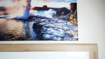 hot_wet_lilly  recording 13_07_2017 year