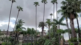 Britney Amber aka britneyamber onlyfans 11-08-2022 camerawork