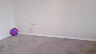 brina  records from 23_08_2017 year