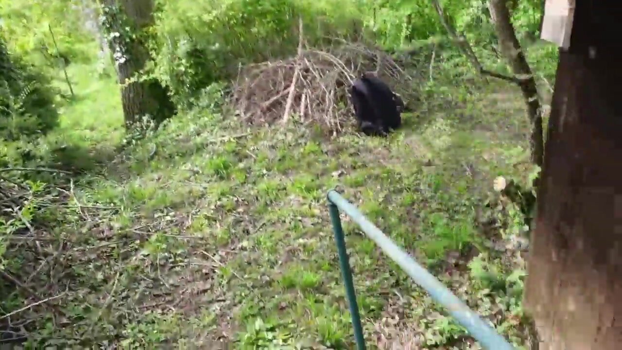 Emmi Hill sex in the woods